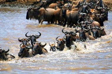 ADVENTURE AROUND KENYA AND TANZANIA